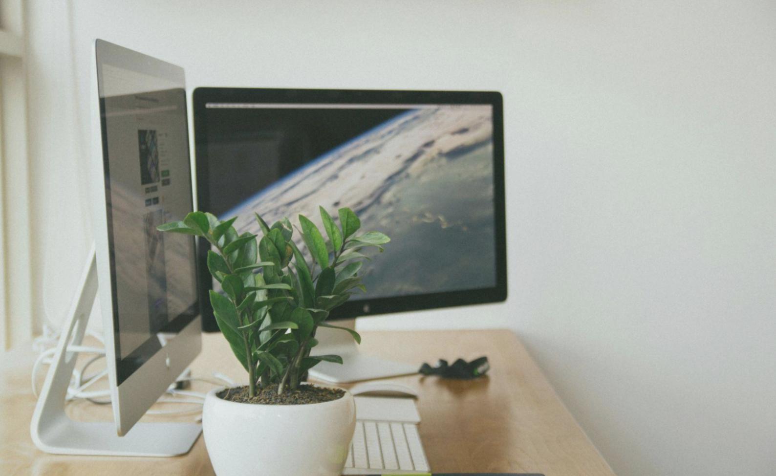 Ambiente di formazione morivexian per la cura dei capelli